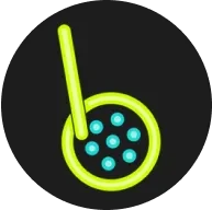 BOBA-20220729.webp